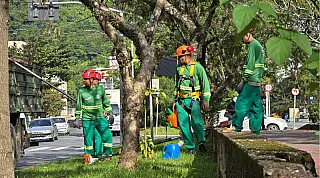 GuaruJá Limpeza chega ao Morrinhos com força-tarefa integrada de zeladoria