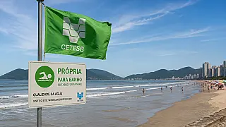 Feriado de 7 de Setembro: 8 em cada 10 praias do litoral de SP estão próprias para banho
