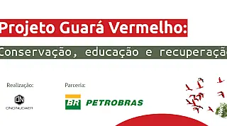 Projeto Guará Vermelho promove mutirão de limpeza em Cubatão em comemoração ao Cleanup Day 2026