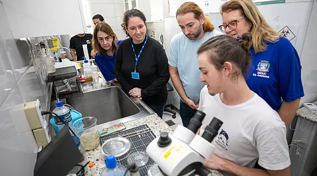 DEA recebe materiais biológicos de animais marinhos doados pelo  Instituto Biopesca