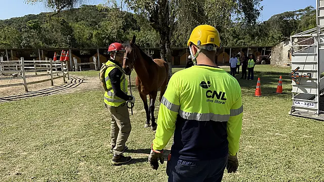 CNL amplia ações para prevenir presença de animais de grande porte nas rodovias