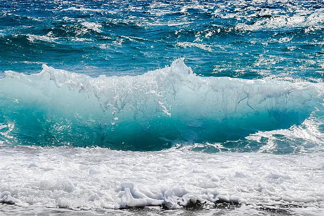 Litoral Norte ganha 31 ações para proteção do oceano, pesca, biodiversidade e qualidade das águas