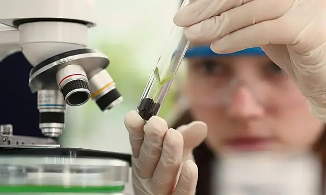 Prêmio para mulheres e meninas cientistas abre inscrições até outubro
