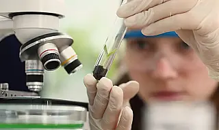 Prêmio para mulheres e meninas cientistas abre inscrições até outubro