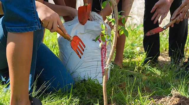 Projeto "Um Bosque na Minha Escola" leva educação ambiental para dentro das escolas de Bertioga