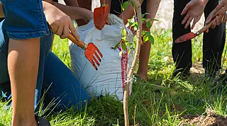 Projeto "Um Bosque na Minha Escola" leva educação ambiental para dentro das escolas de Bertioga