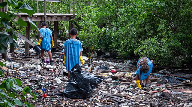 MEGA Mutirão de limpeza do manguezal mobiliza rede de parceiros no Jardim São Manoel, em Santos
