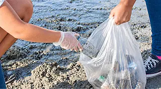 São Vicente promove mobilização pela preservação dos oceanos com ação de limpeza na Ilha Porchat