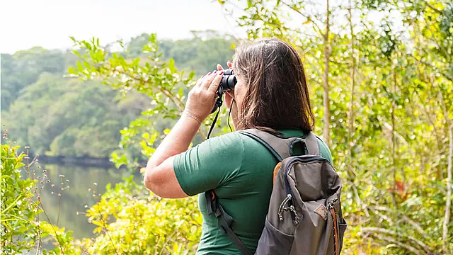 Festival das Aves de Bertioga terá capacitação gratuita para profissionais do turismo