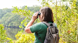Festival das Aves de Bertioga terá capacitação gratuita para profissionais do turismo