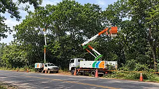 Podas e manutenções preventivas reforçam segurança da rede elétrica de Registro e cidades vizinhas