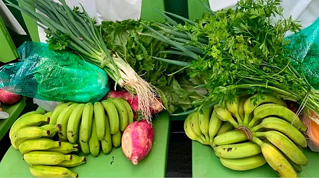 CATI inicia 6ª fase do Programa de Aquisição de Alimentos paulista
