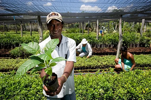Em São Paulo, órgãos públicos já contrataram mais de R$ 4,8 milhões de microempreendedores e agricultores familiares pelo Contrata+Brasil