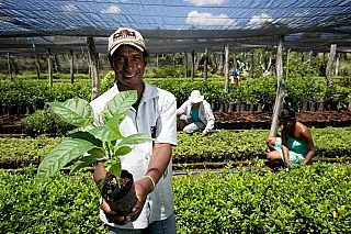 Em São Paulo, órgãos públicos já contrataram mais de R$ 4,8 milhões de microempreendedores e agricultores familiares pelo Contrata+Brasil