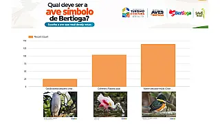 Bertioga abre votação para escolher sua ave símbolo; participe até 6 de novembro