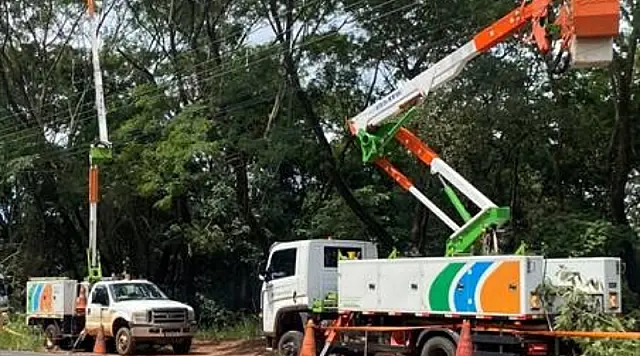 Podas e manutenções preventivas reforçam segurança da rede elétrica em cidades da Baixada Santista
